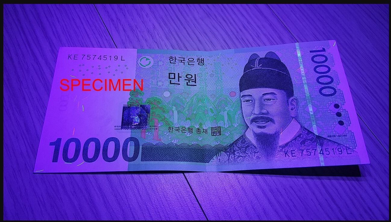 원·달러 환율 1300원대 안착, 5거래일째 이어진 이유는